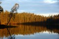 FinnFoto_307556
