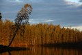 FinnFoto_307558