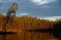 FinnFoto_307577