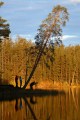 FinnFoto_307604