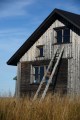 FinnFoto_307632