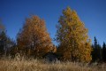 FinnFoto_307641