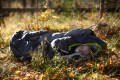 FinnFoto_307689