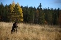 FinnFoto_307697