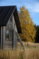 FinnFoto_307730