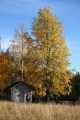 FinnFoto_307750