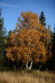 FinnFoto_307756