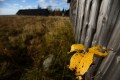 FinnFoto_307764