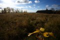 FinnFoto_307774