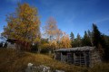 FinnFoto_307794