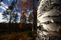 FinnFoto_307815
