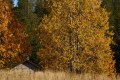 FinnFoto_307854