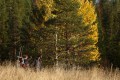 FinnFoto_307860