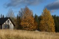 FinnFoto_307864