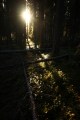 FinnFoto_307957