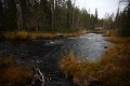 FinnFoto_308070