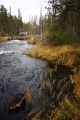 FinnFoto_308074