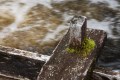 FinnFoto_308081