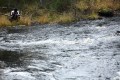 FinnFoto_308083