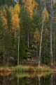 FinnFoto_308172