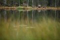 FinnFoto_308182