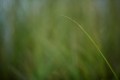 FinnFoto_308236