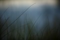 FinnFoto_308238