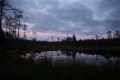 FinnFoto_308262
