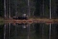 FinnFoto_308292
