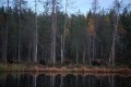 FinnFoto_308316
