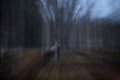 FinnFoto_308376