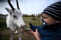 FinnFoto_308425