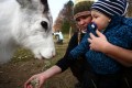 FinnFoto_308439