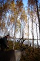 FinnFoto_308625