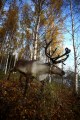 FinnFoto_308640