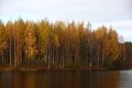 FinnFoto_308716