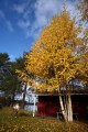 FinnFoto_308751