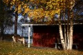 FinnFoto_308757