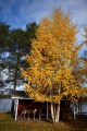 FinnFoto_308763