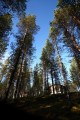 FinnFoto_308781