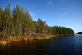 FinnFoto_308788