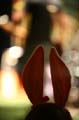 FinnFoto_227263