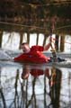 FinnFoto_218676