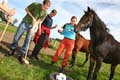 FinnFoto_243132