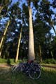 FinnFoto_261104
