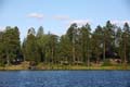 FinnFoto_269085