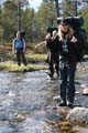 FinnFoto_279083