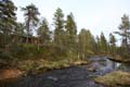 FinnFoto_279164