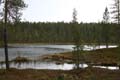 FinnFoto_279202