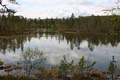 FinnFoto_279208